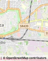 Assicurazioni,55100Lucca