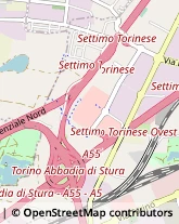 Stazioni di Servizio e Distribuzione Carburanti,10036Torino