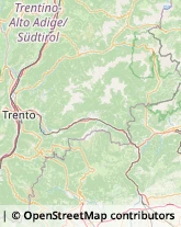 Via XI Febbraio, 39,38056Levico Terme