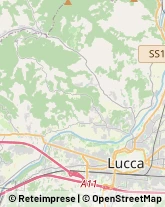 Autotrasporti,55100Lucca