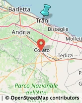 Studi - Geologia, Geotecnica e Topografia,76125Barletta-Andria-Trani