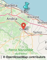 Autonoleggio,76125Barletta-Andria-Trani