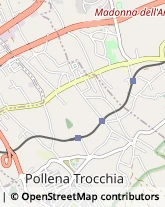 Corso Umberto I, 38,80040Pollena Trocchia