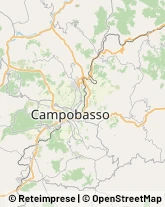 Contrada Tappino, 61,86100Campobasso