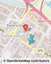 Aziende Sanitarie Locali (ASL),50019Firenze