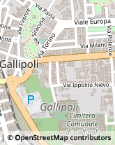 Via Alessandro Manzoni, 17,73014Gallipoli