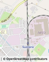 Viale Stelvio Zonta, 47,46029Suzzara