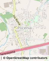 Via Roma, 92,30050Pocenia