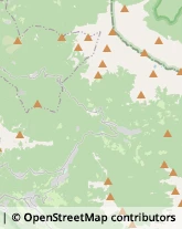 Autofficine e Centri Assistenza,23832Lecco