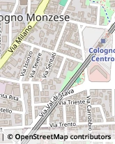 Via Goffredo Mameli, 4,20093Cologno Monzese