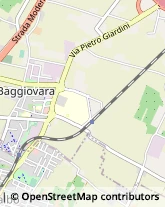 Via Giuseppe Gambigliani Zoccoli, 25,41126Modena