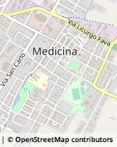 Piazza Giuseppe Garibaldi, 37/38,40059Medicina