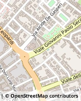 Viale Giovanni Paolo II, 11,73100Lecce