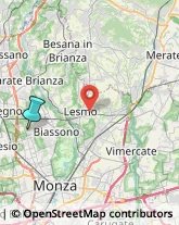 Agenzie di Animazione e Spettacolo,20846Monza e Brianza