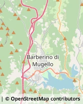 Via A. Cavallina Meucci, 5,50030Barberino di Mugello