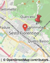 Via Giotto, 63,50019Sesto Fiorentino