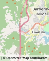 Via Montecuccoli, 13,50031Barberino di Mugello