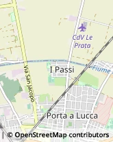 Via G. Paolo Gamerra, 13,56123Pisa