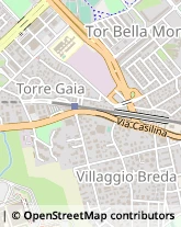 Via di Torre Gaia, 10/A,00133Roma