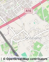 Via S. Borzillo, 15,80030Scisciano