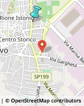 Palestre e Centri Fitness,66050Chieti