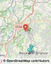 Feste - Organizzazione e Servizi,20842Monza e Brianza