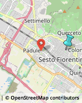 Palestre e Centri Fitness,50019Firenze