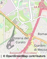 Via Ferruzzano, 58,00173Roma