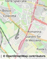 Via Tuscolana, 1055,00173Roma