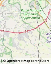 Via di Castel di Leva, 123,00134Roma