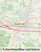 Rigattieri,55100Lucca