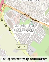 Via Gasperina, 161,00173Roma