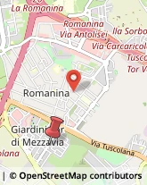 Via Gasperina, 222,00173Roma