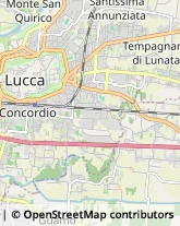 Tende da Sole,55100Lucca