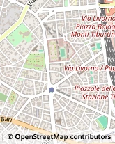 Via Ernesto Monaci, 5,00161Roma