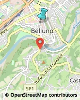 Agenzie di Animazione e Spettacolo,32100Belluno