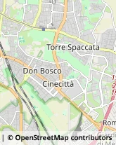 Via Sestio Menas, 62,00175Roma