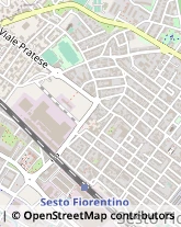 Frutta e Verdura - Dettaglio,50019Firenze