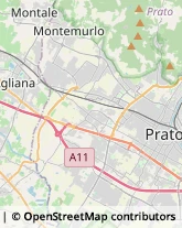 Autotrasporti,59100Prato