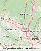 Agenzie di Vigilanza e Sorveglianza,50019Firenze