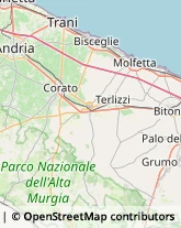 Carne - Lavorazione e Commercio,76011Barletta-Andria-Trani