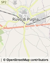 Strada Provinciale Ruvo Palombaio, 460/A,70037Ruvo di Puglia