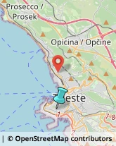 Latterie,34123Trieste