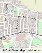 Via Triestina, 54-15,30173Venezia