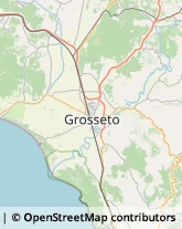 Ortofrutticoltura,58043Grosseto