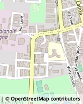 Viale Giovanni Cimabue, 55,58100Grosseto