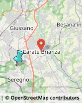 Laboratori di Analisi Cliniche,20831Monza e Brianza