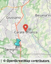 Massaggi,20831Monza e Brianza