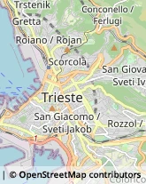 Istituti di Bellezza,34144Trieste