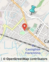 Aziende Sanitarie Locali (ASL),52043Arezzo